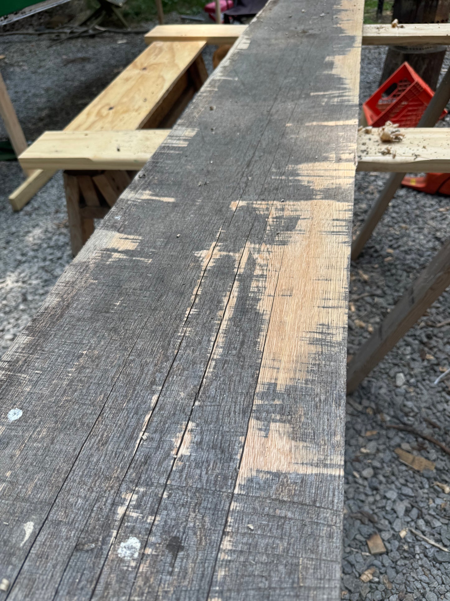 Wood Processing Fundamentals – Hands-On Skill Building Class