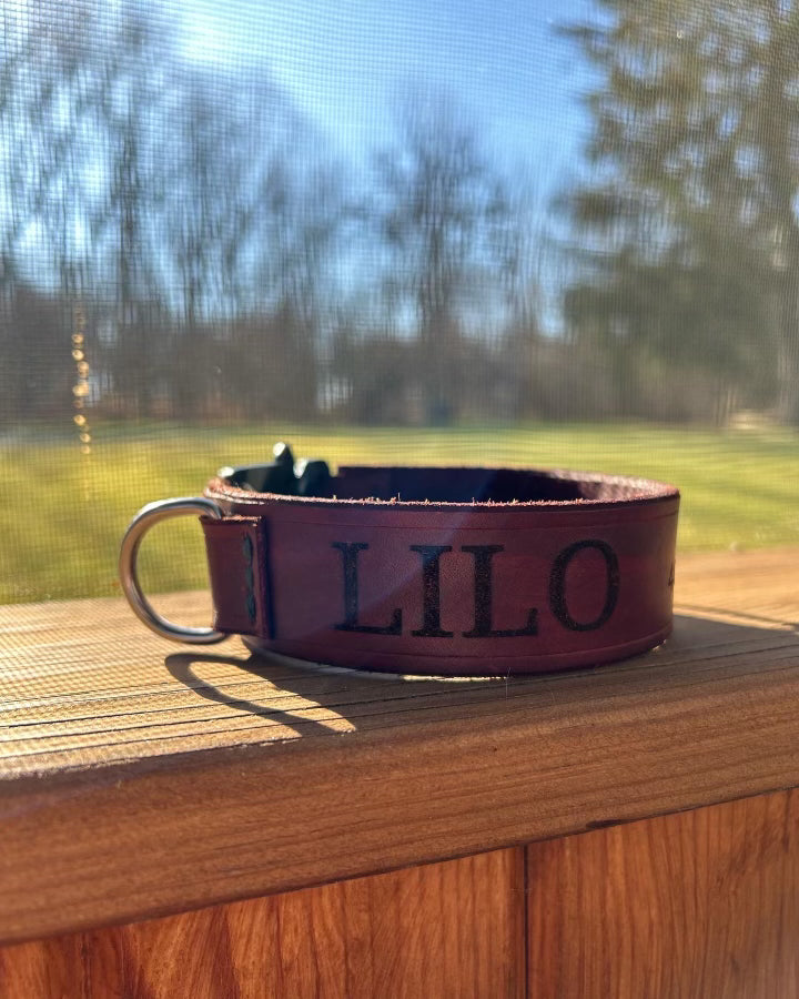 BFL Dog Collar