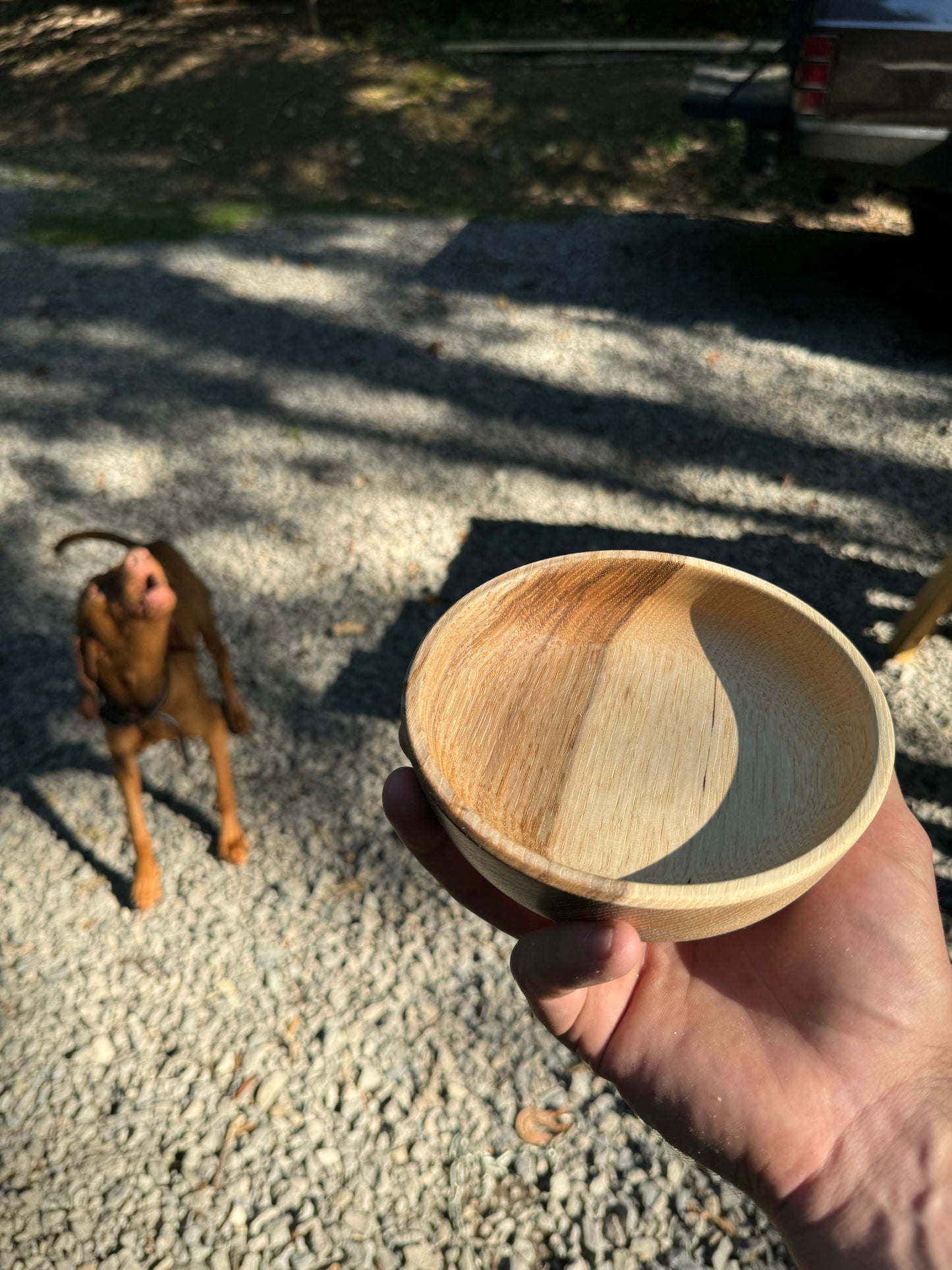 Wooden Bowl